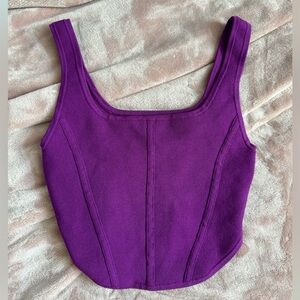 Aritzia Sculpt Knit Bustier Top